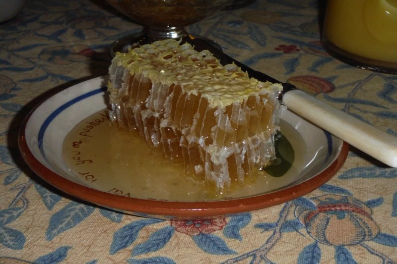 Bideford Beehives B & B