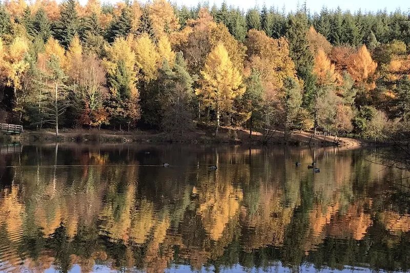 Beautiful old Mill in the Forest of Dean