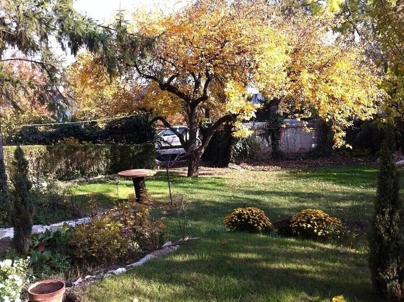 Comfortable, quiet garden apartment in a convenient location, private parking