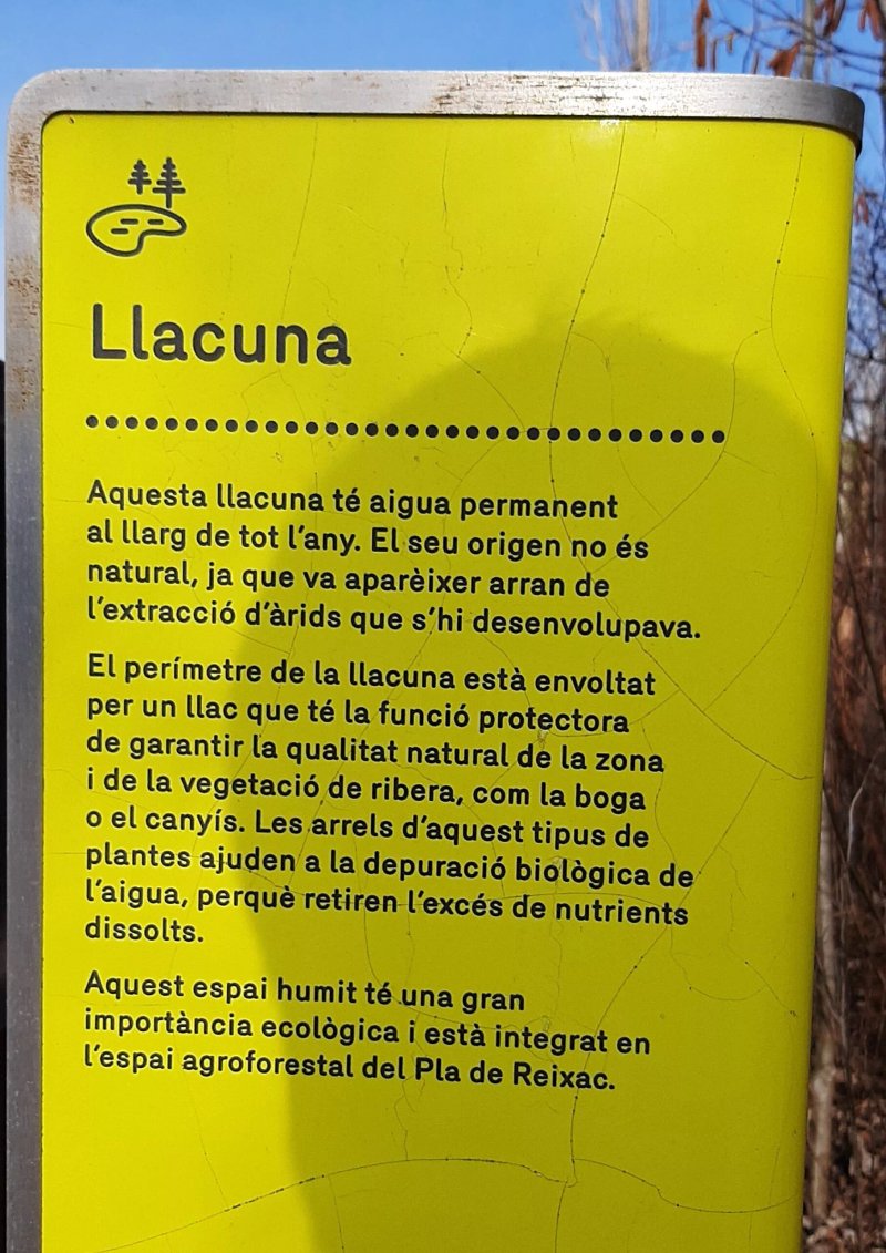 Parc De La Llacuna