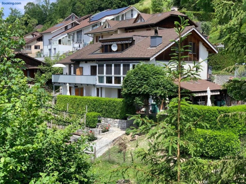 Monte Castello holiday apartment