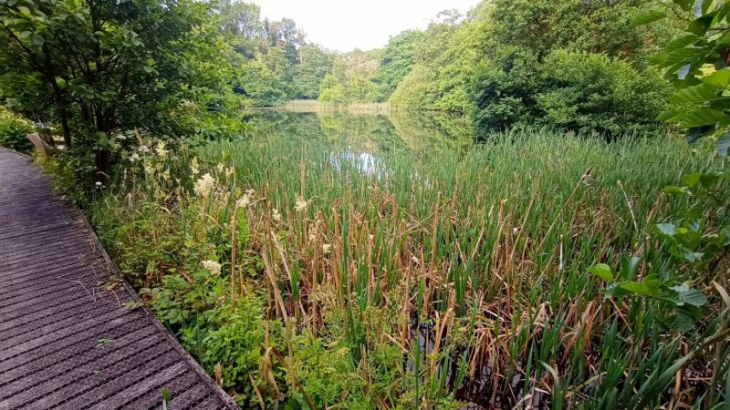 Henllys Estate Bed & Breakfast
