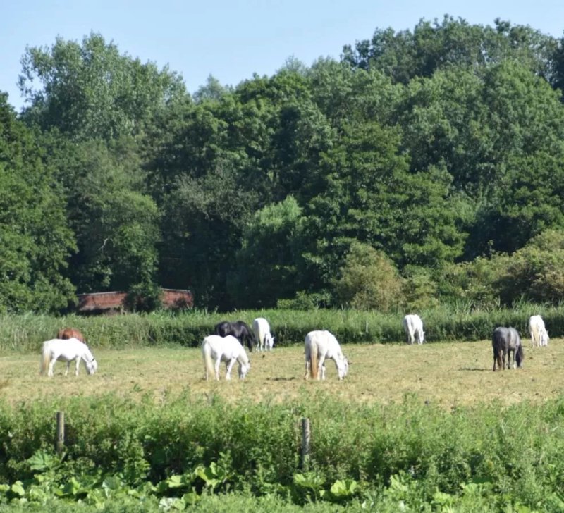 Valley Farm Equestrian Leisure Campsite