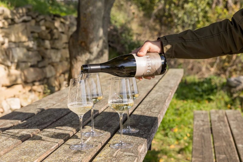 Weingut Pasler