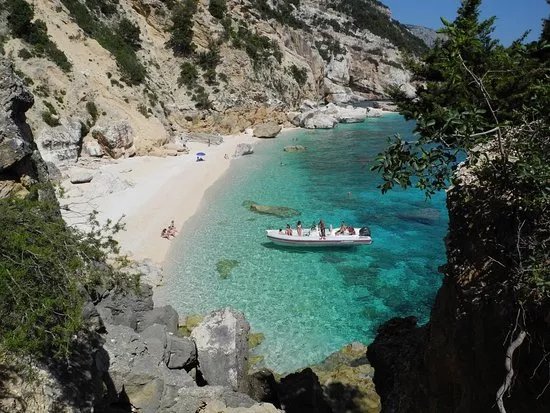 Costabellatropea