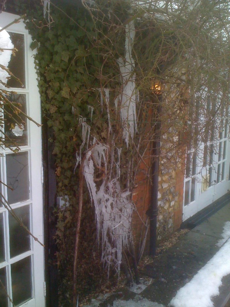 The Chequers Inn