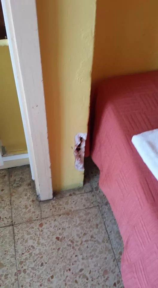 Bermudas