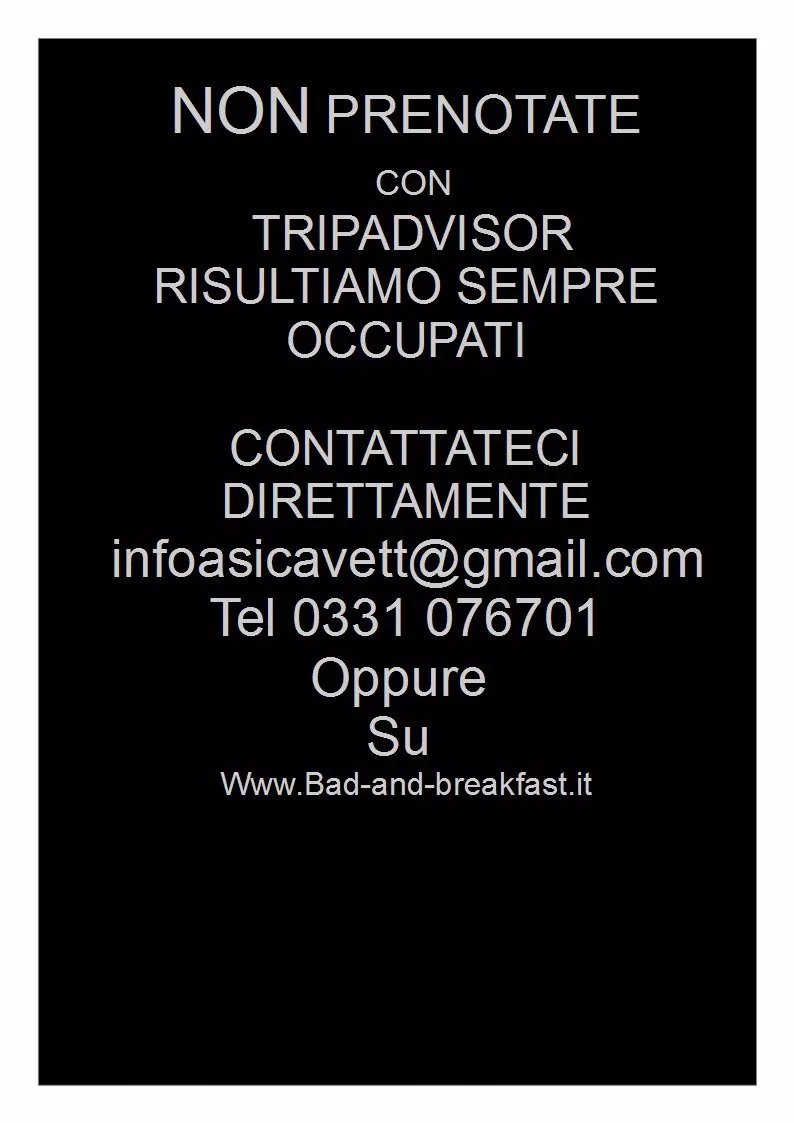Hotel Oasi Cavett