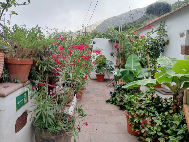 Casa Rural Chamorga