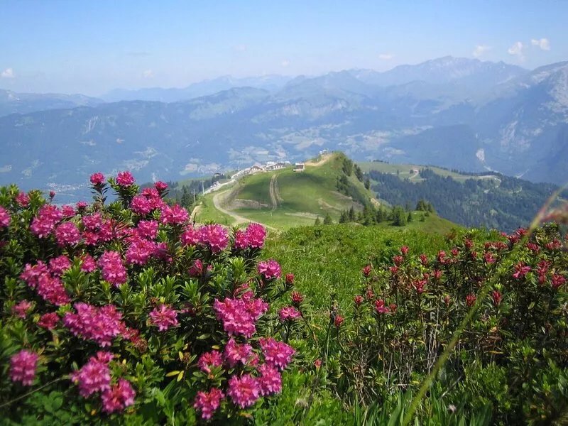 Samoëns apartment, sleeps 4-6 within village. Free Wi-Fi