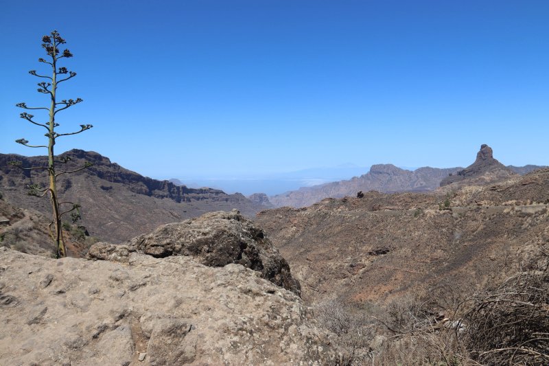 Mirador Cruz De Timagada