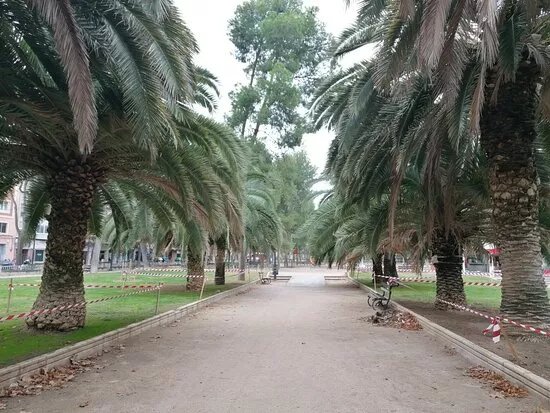 Paseo Cuellar