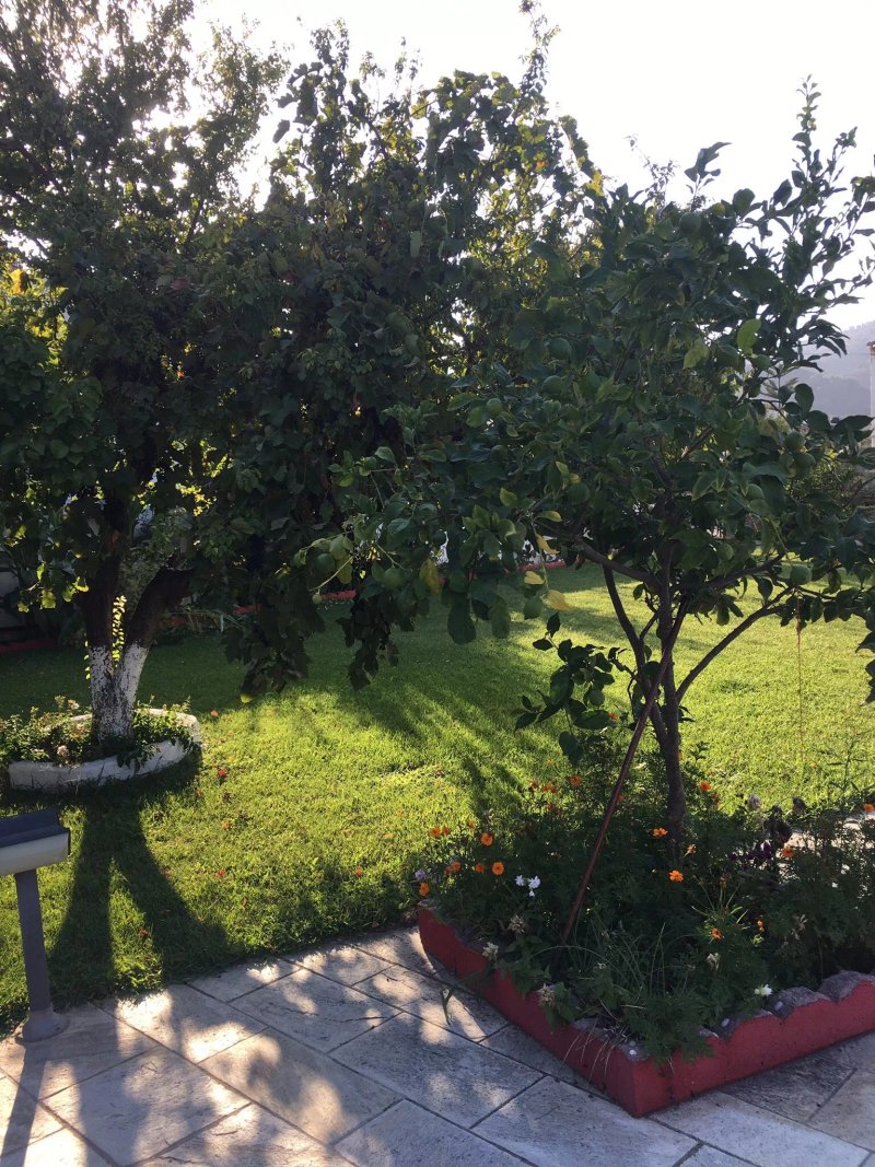 Pavlos Maria Studios