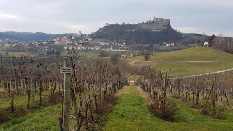 Wippl's Hofbergstubn