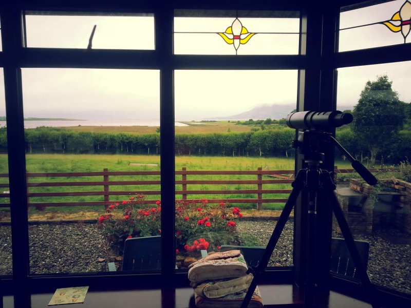 Seashore Bed & Breakfast