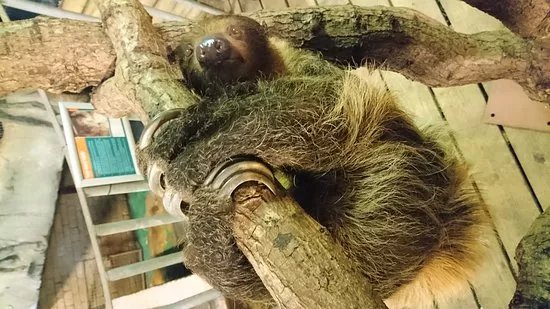 Heythrop Zoological Gardens