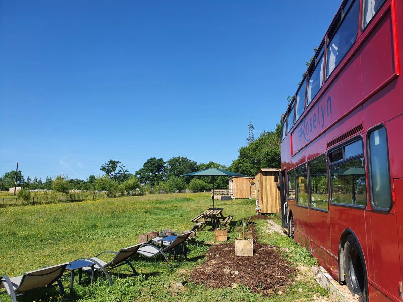 Dartmoor Reach Alpaca & Glamping Farm