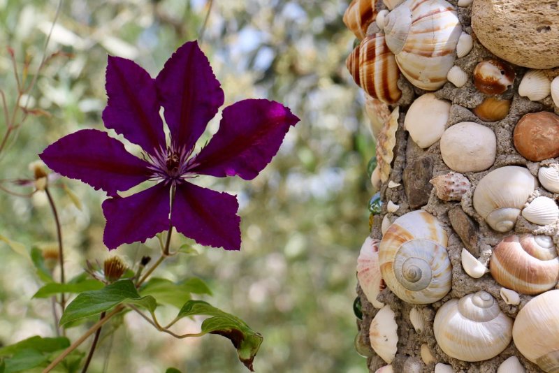 Le Jardin des Fleurs de Poterie