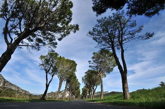 Domaine de La Vallongue