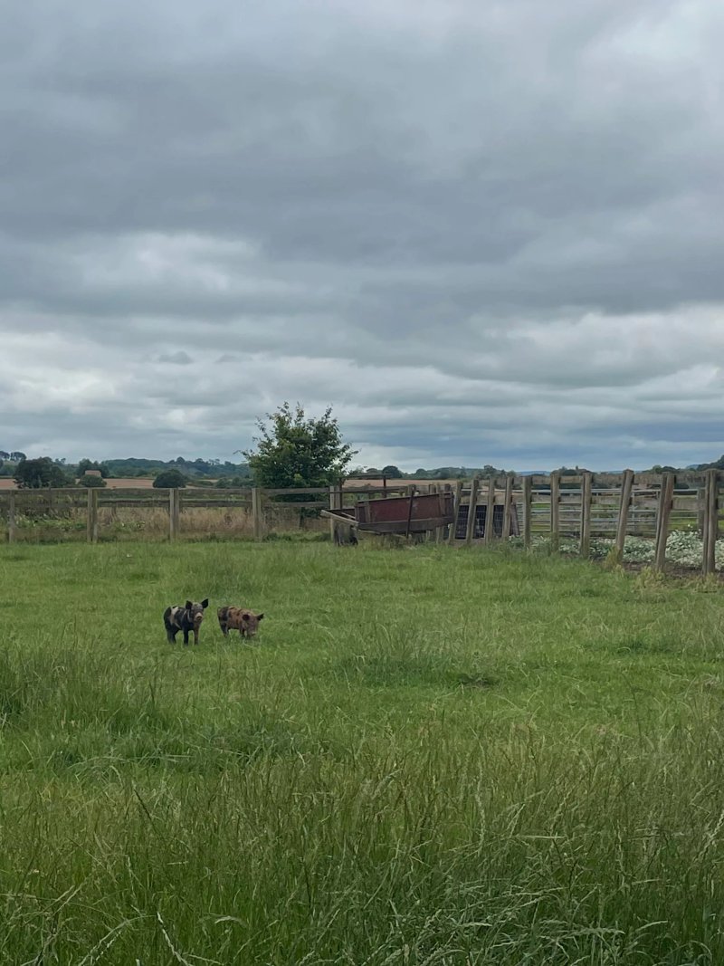 Nash End Farm Hideaway