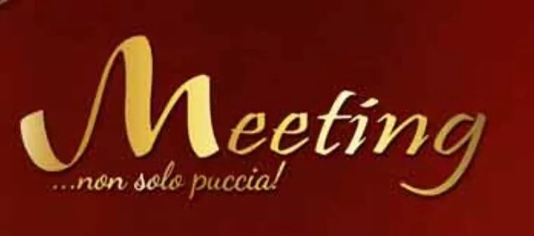 Meeting