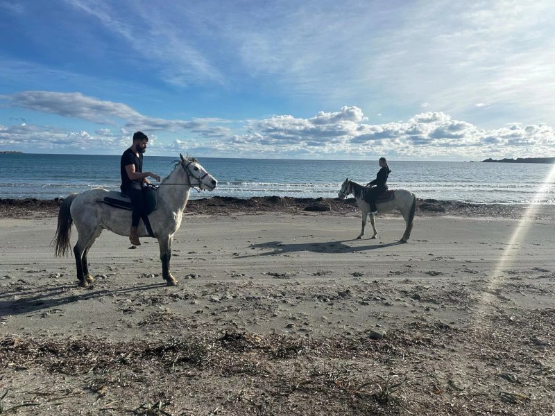 Texas Horses Riding Club
