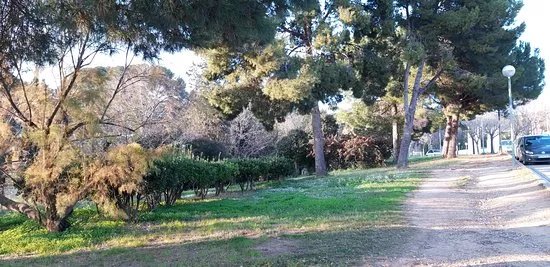 Jardins De Maria Canardo Lacasta