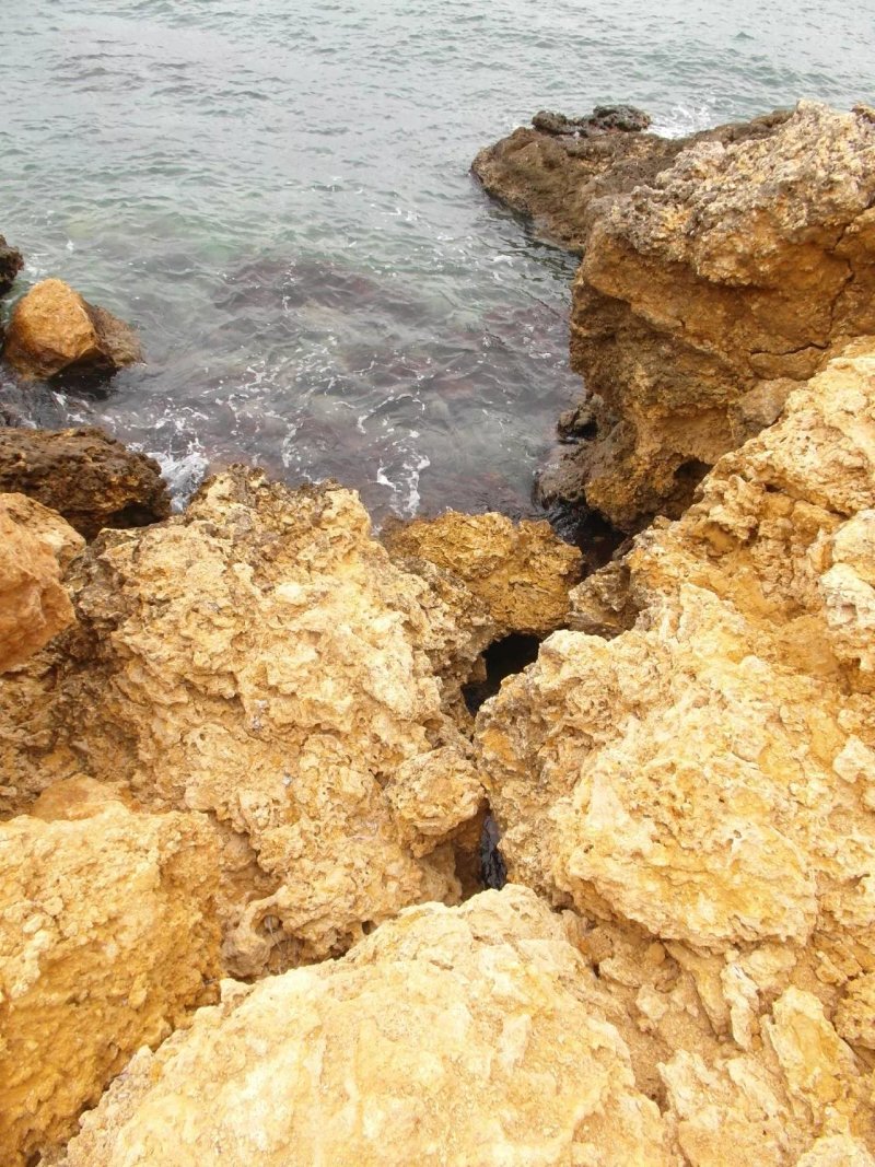 Residence Arenella