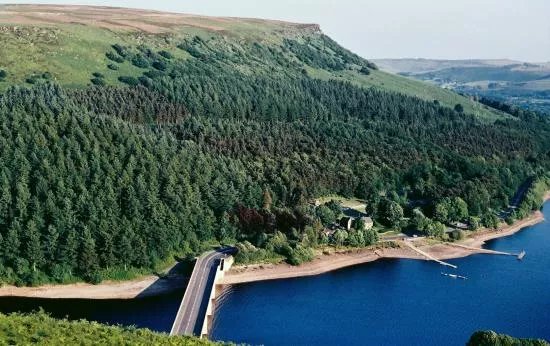 Ladybower Fisheries