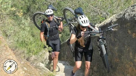 IntoThe Wild -  Day Tours