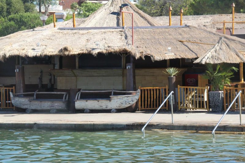 Alaya -coctail bar-