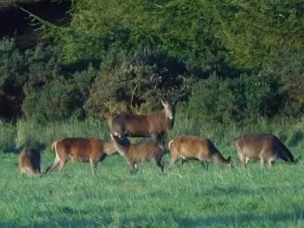 Moorside Country Bed and Breakfast