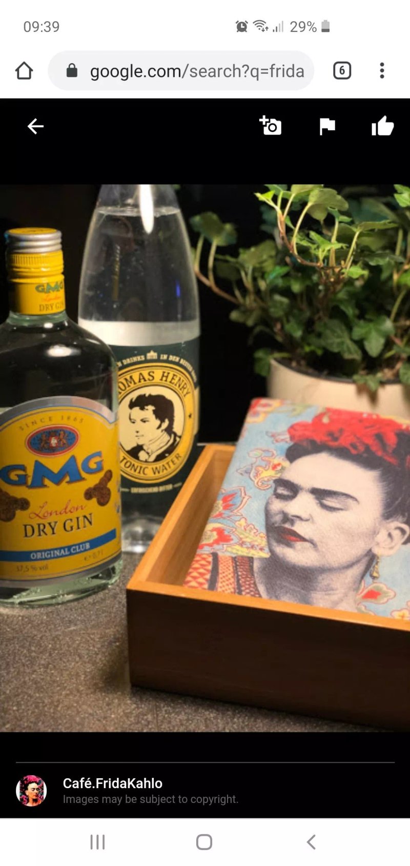 Cafe Frida Kahlo