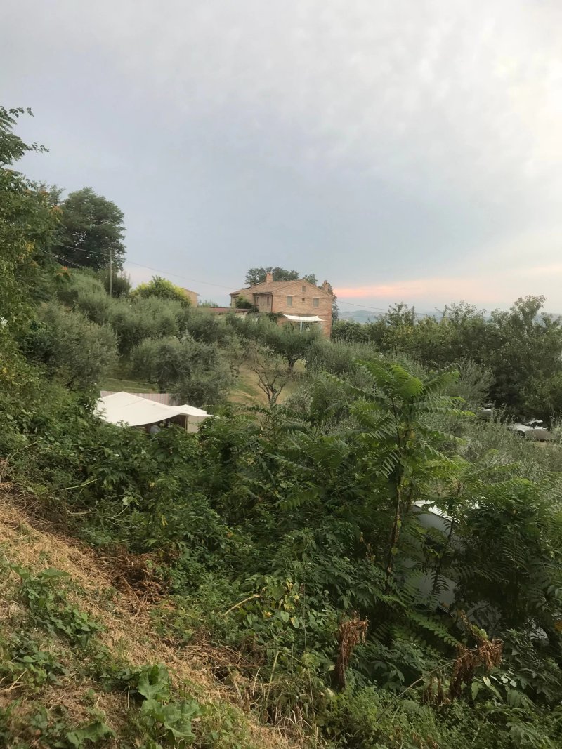 Angeli di Montefiore