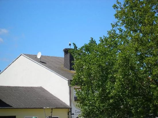 Hotel Pannonia & Haus St.Floran