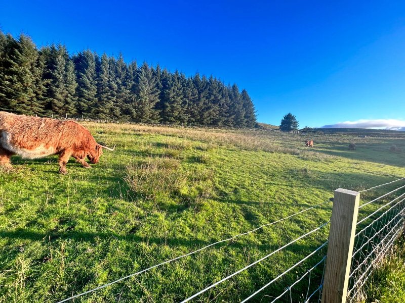 Crannich Farm