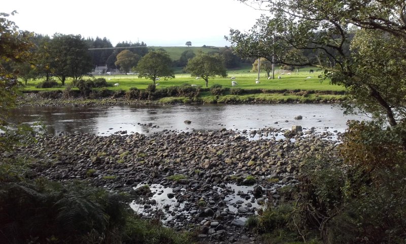 Haltwhistle Camping And Caravanning Club Site