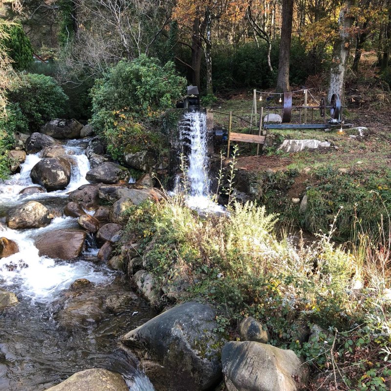 Wilderness Lodge B&B