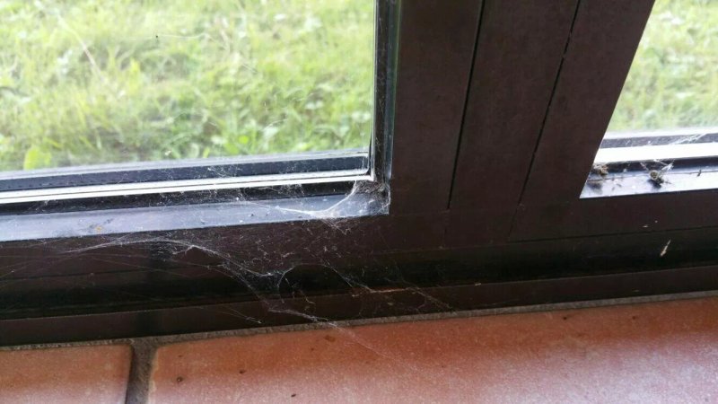 Pazo Da Cruz