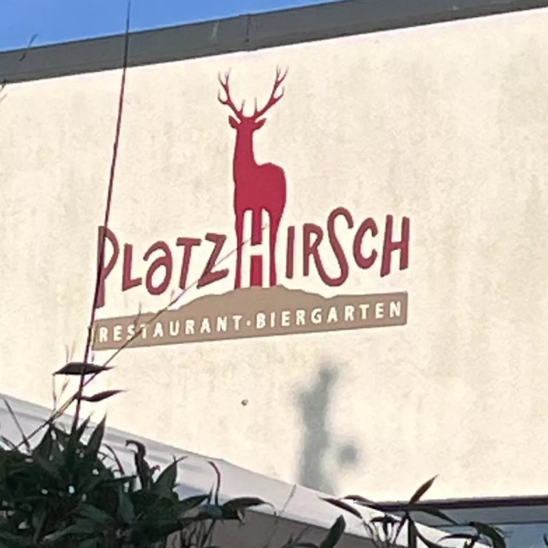 Platzhirsch