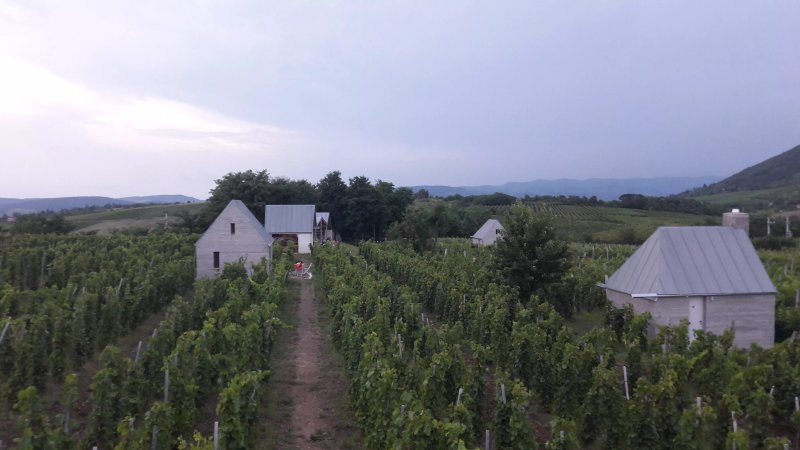 Almagyar Wine Camping, Wine terrace and Venyige Spa