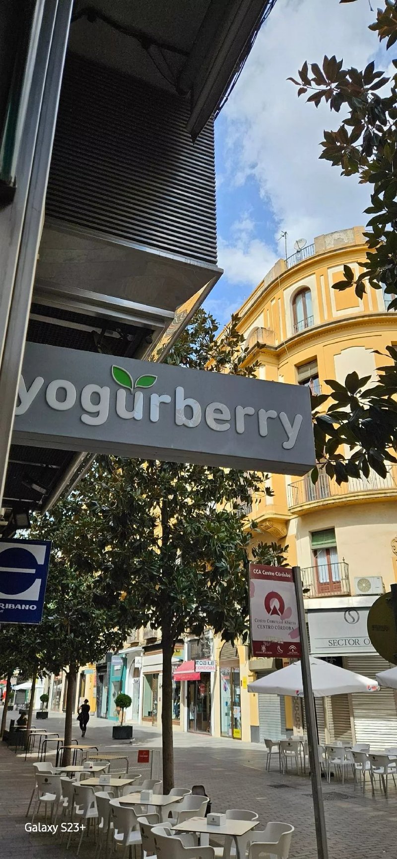 Yogurberry