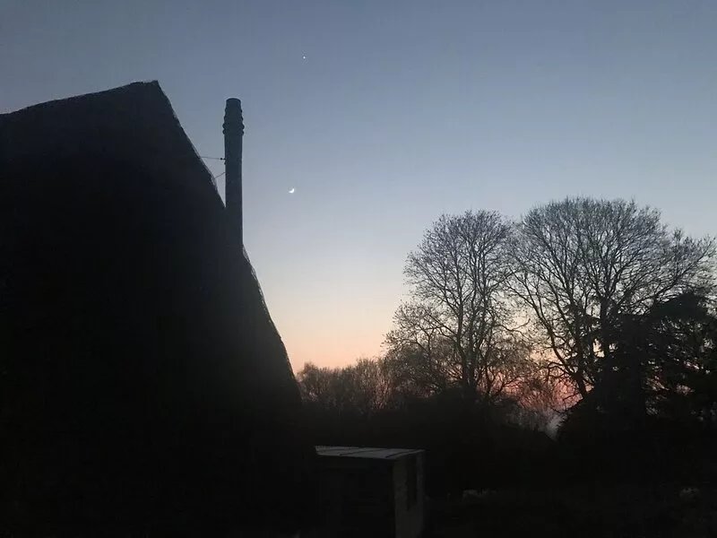 Romantic cottage  in the heart of the New Forest, perfect for walkers.