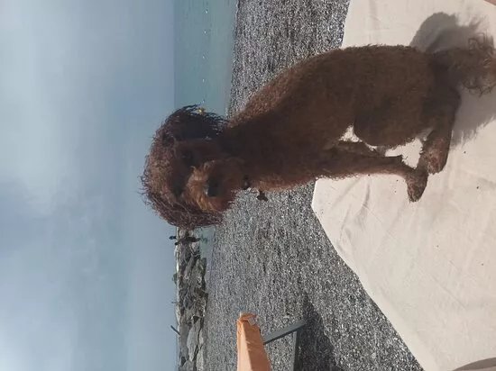 Baubeach Lagorette