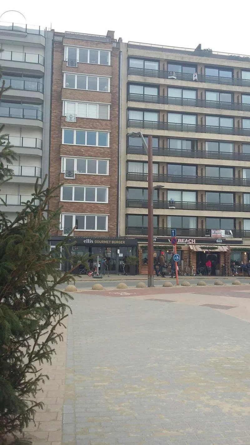 Ellis Knokke