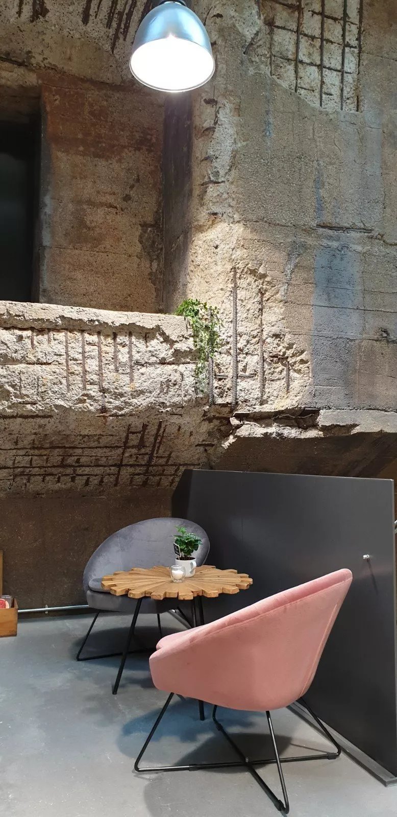 Dalmat Coffee House