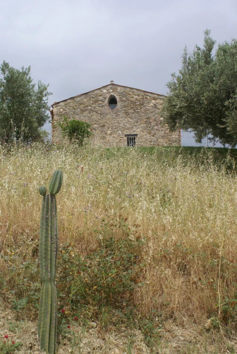 Casa Margaret - L'Azienda Agricola