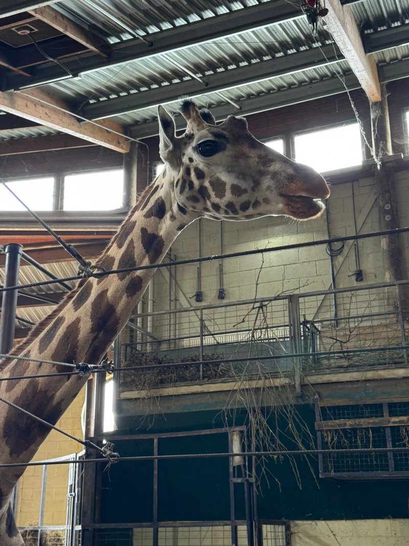 Marwell Wildlife