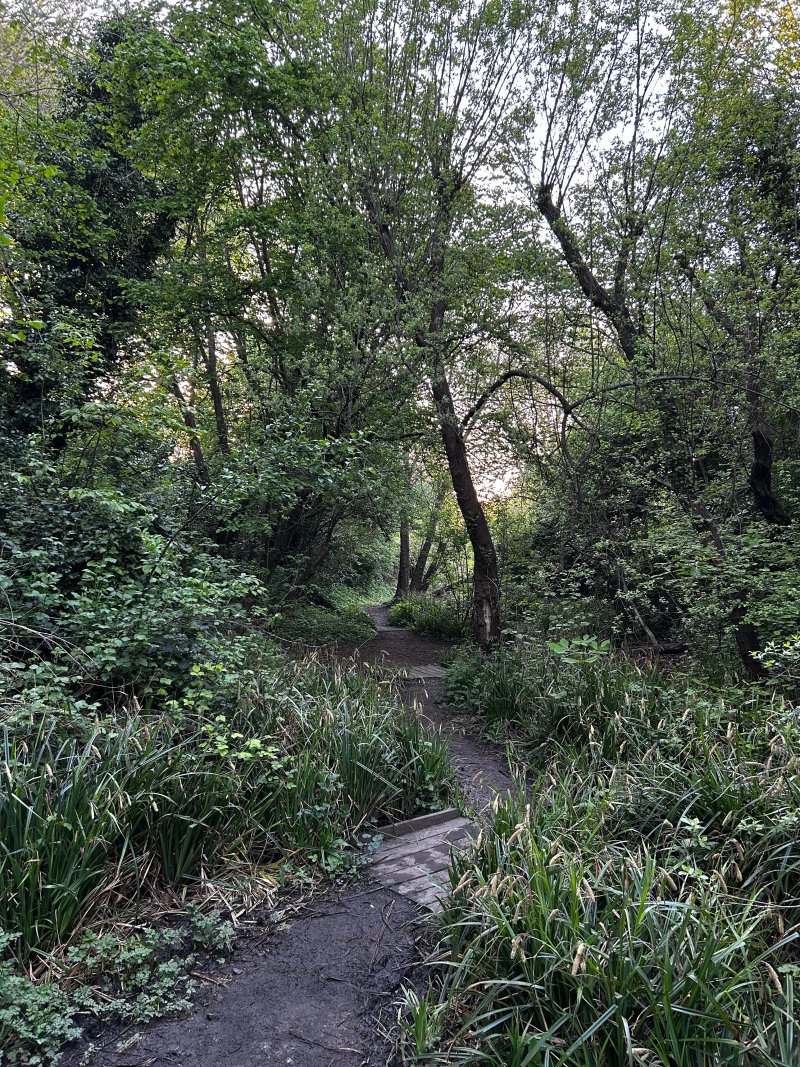 Pilley Bridge Nature Reserve