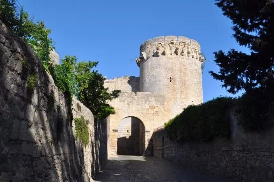 Porta di Castello e Torrione detto di Matilde di Canossa